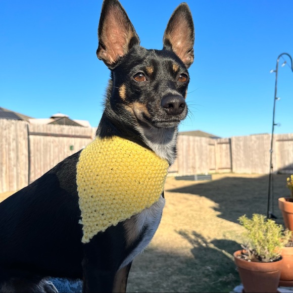 Dog Bandana Hand Knit in USA Western Dog Outfit Tie Scarf - Picture 2 of 7